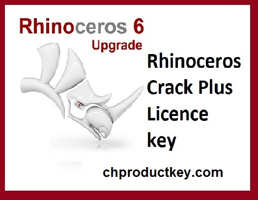 rhino 6 key