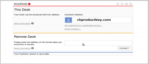 anydesk premium license key anydesk premium license key