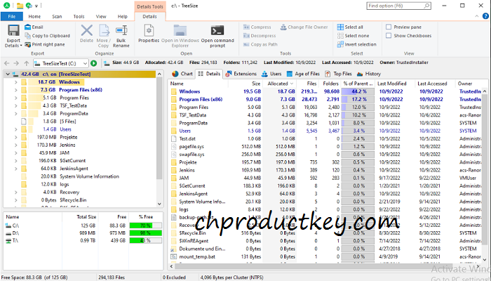 TreeSize Professional License Key