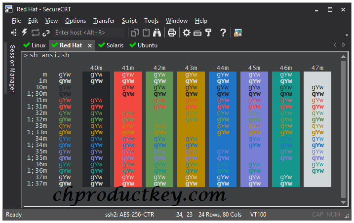 SecureCRT License Key